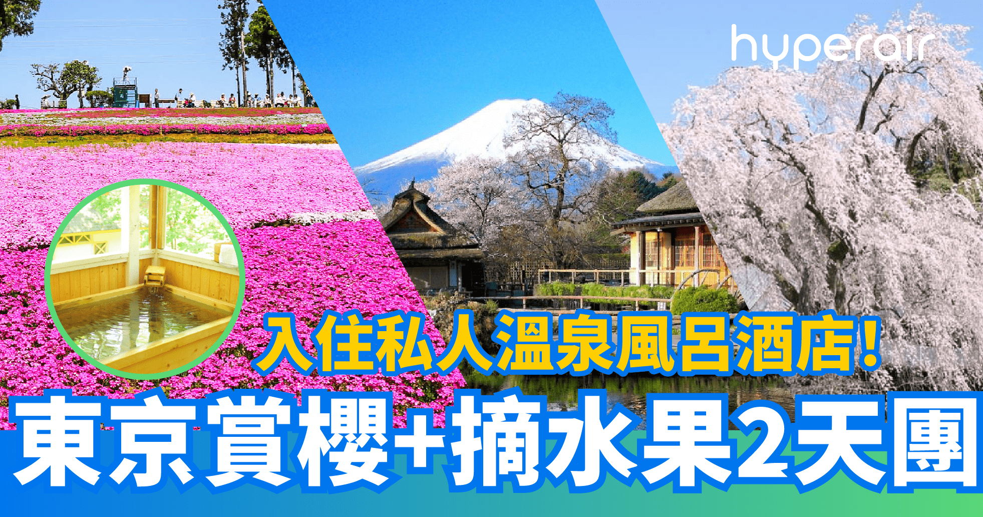 不能不去的賞櫻、溫泉、美食、摘水果東京2天團 到訪6大賞櫻名所