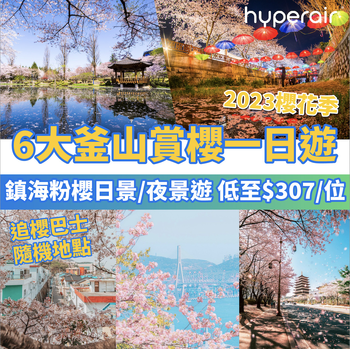 2023 櫻花季－韓國賞櫻釜山一日遊，低至 HK$356/位，坐上追櫻巴士走訪櫻花茂密綻放地點！