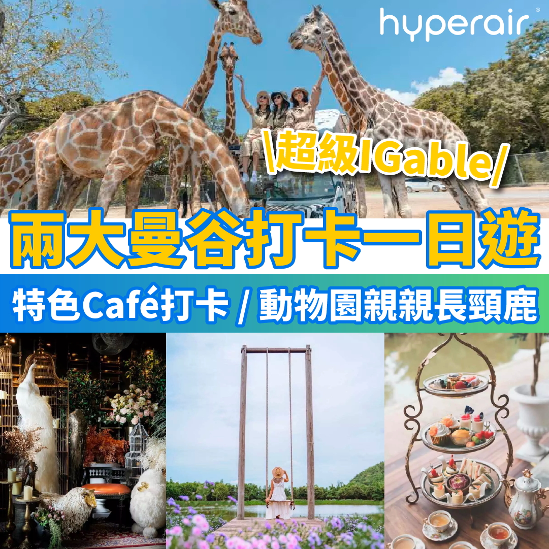 【2大曼谷打卡一日遊】特色Café打卡遊 / 北碧府動物園親親長頸鹿、Café遊，低至HK$471/位！更可選擇升級體驗：在吉普車上餵食長頸鹿及拍照